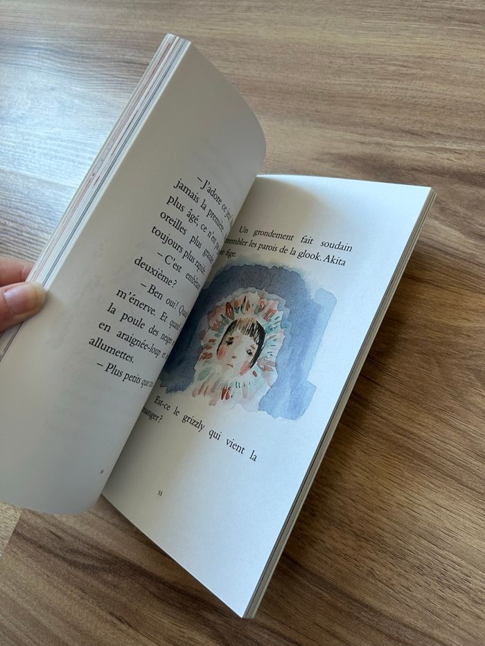 Lot de 2 Livres Jeunesse Akita et Le Centre - photo numéro 4