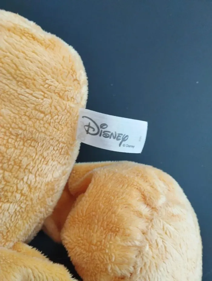 🐻Winnie l’ourson 🐻 - photo numéro 4