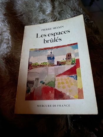 Les espaces brûlés