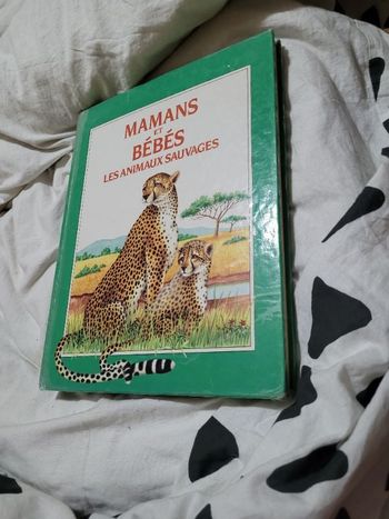 Mamans et bébés les animaux sauvages