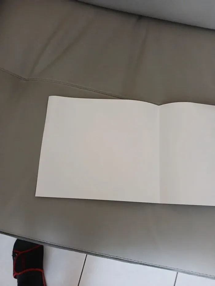 Jaquette Collector Vinland Saga bronze - festival de la bd - photo numéro 4