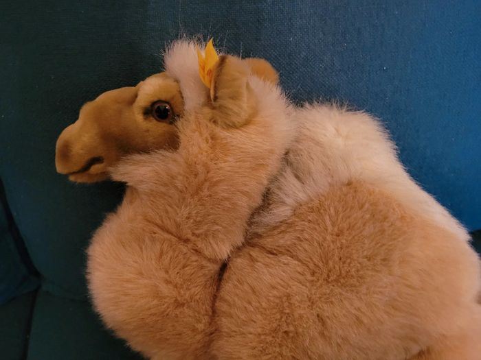 RARE Peluche ancienne Dromadaire Molly Steiff doudou chameau debout collection 45cm - photo numéro 3