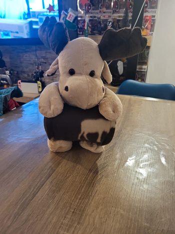 Peluche et plaid
