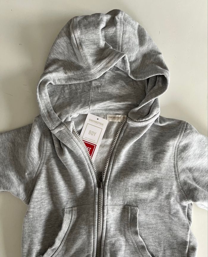 Sweat zippé à capuche gris clair 4 ans - photo numéro 3