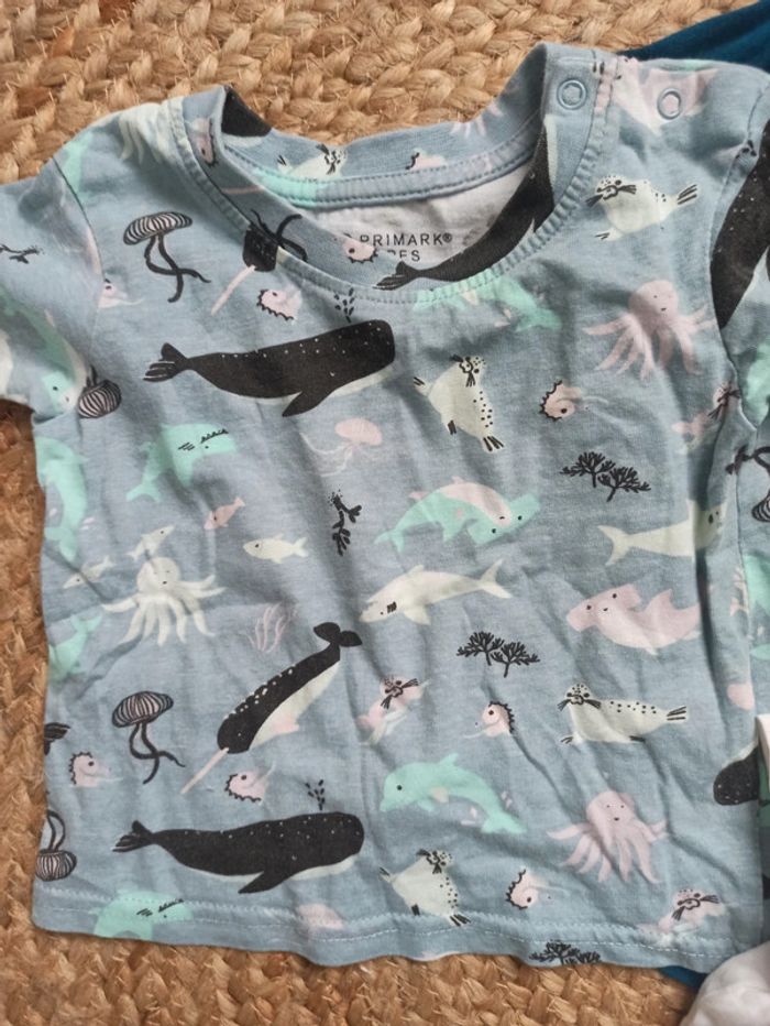 Lot t-shirt taille 6 mois - photo numéro 6