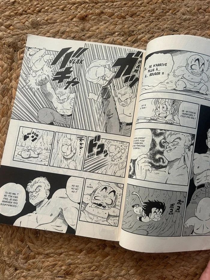 Livre 📚Édition collector dragon ball - photo numéro 6
