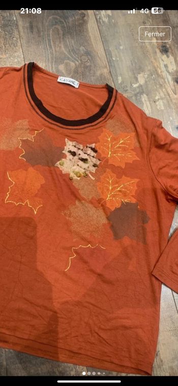 Tee shirt manches longues automnal