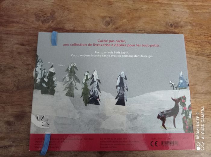 Livre enfant Caché pas caché dans la neige, Seuil Jeunesse - photo numéro 2