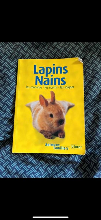 Livre sur le lapin