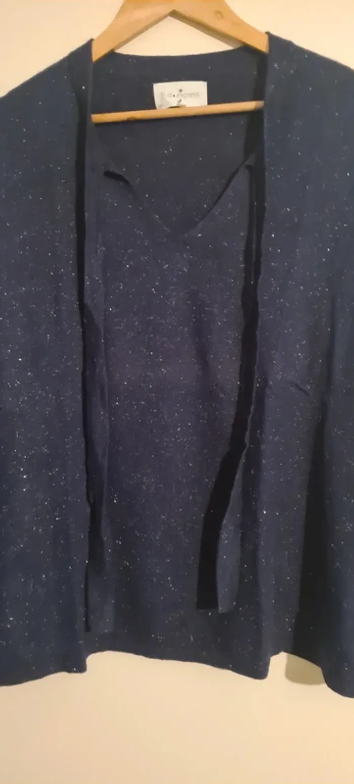 Pull bleu paillettes Sud Express - photo numéro 3