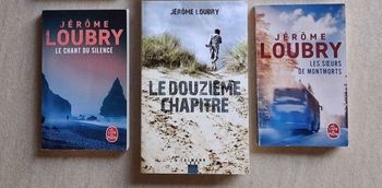 3 romans de Jérôme Loubry