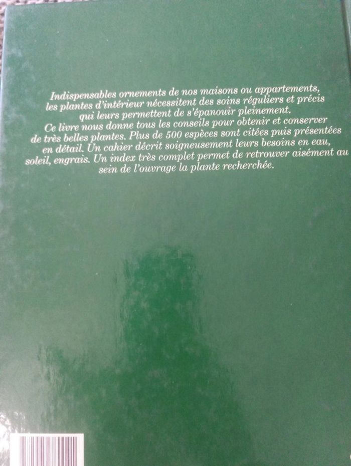 Les plantes d'intérieur - photo numéro 3