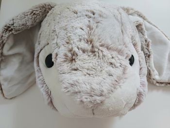 Trophée mural lapin