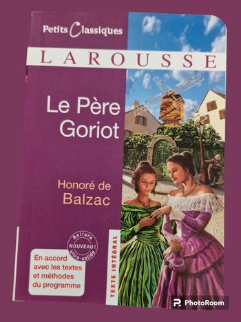 Livre père goriot