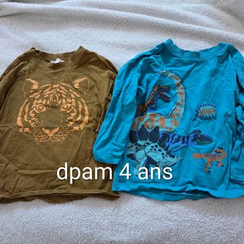 Lot 2 tee-shirts manches longues dpam 4 ans