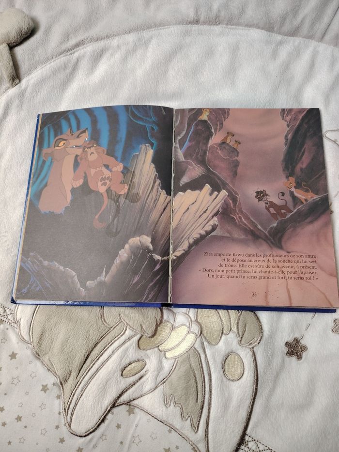 Livre roi lion 2 - photo numéro 5