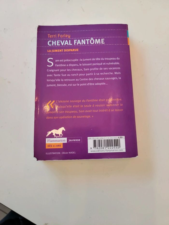 Cheval fantôme - photo numéro 2