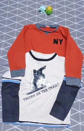 🦁Lot 2 sweats-shirts, 5 ans