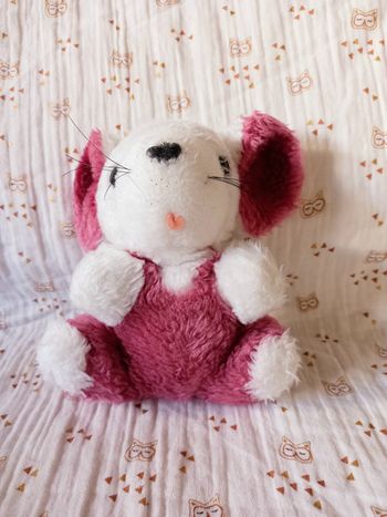 Peluche Souris Nounours 