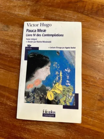 Livre Victor Hugo IV des contemplations