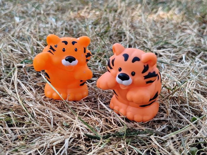 Couple tigre little people