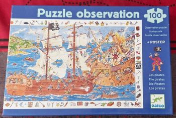 Puzzle d'observation 100 pièces