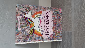 Livre enfant cherche et trouve licorne
