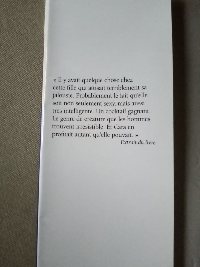 Livre : Steel - photo numéro 4