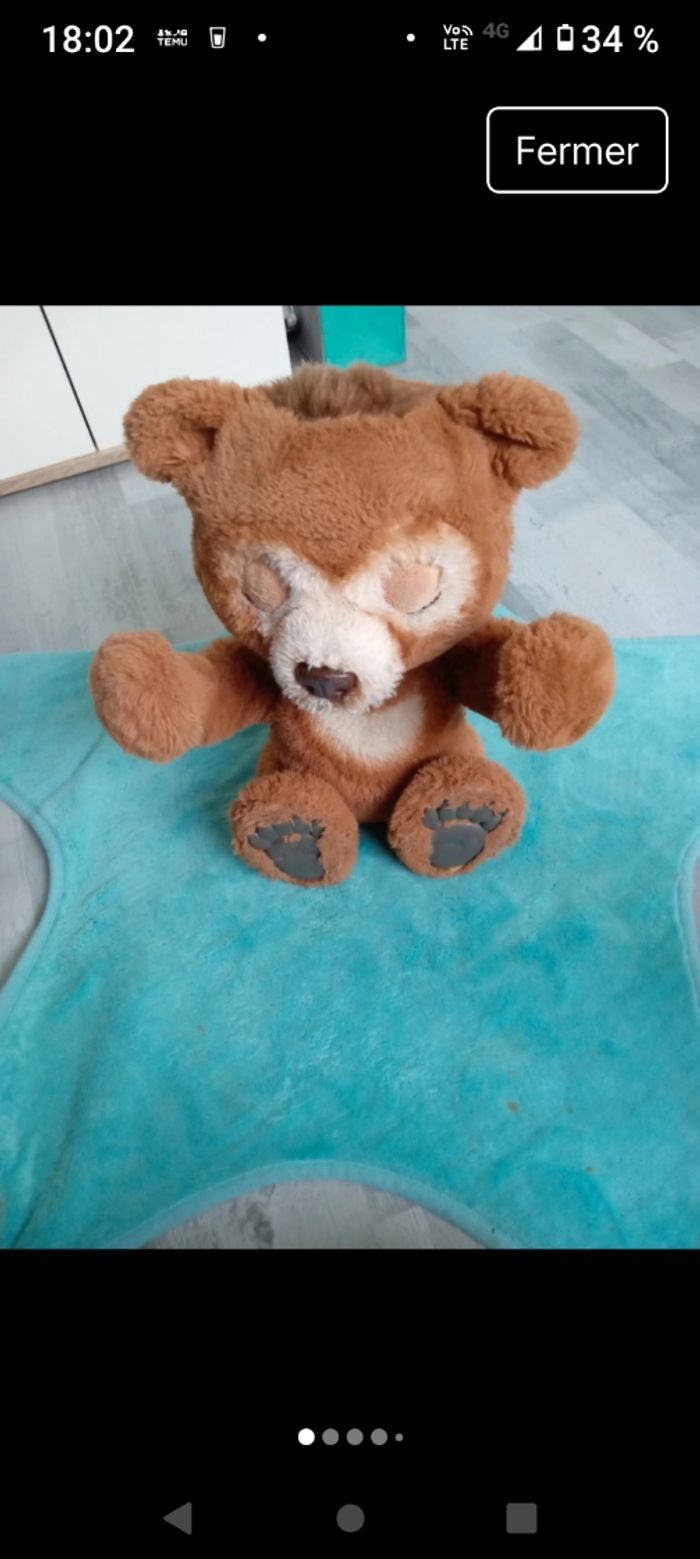 Ours cuby - photo numéro 4