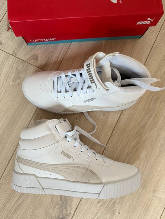 Puma Carina