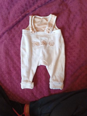 Grenouillère naissance