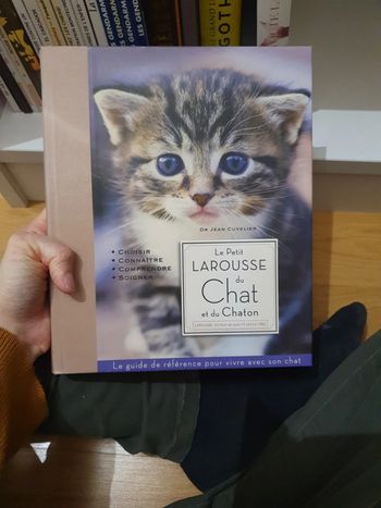 Le petit l'artiste du chat et du chaton