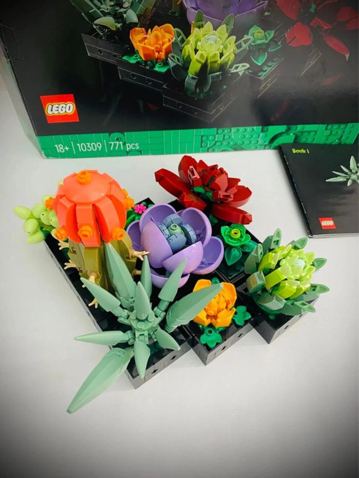 LEGO Icons 10309 - Les Succulents - Complet avec Boîte - photo numéro 5