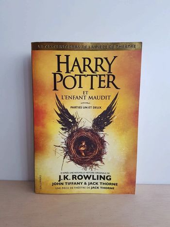 Le Livre Harry Potter et l'enfant maudit