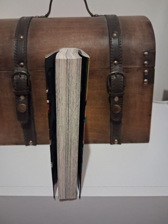 Manga Demon Slayer tome 23 édition limitée jaquette alternative - photo numéro 3