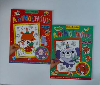 Livres coloriage et stickers