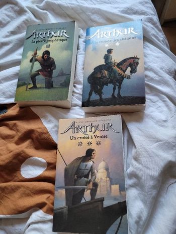 Lot de Arthur tomes 1  2  et 3