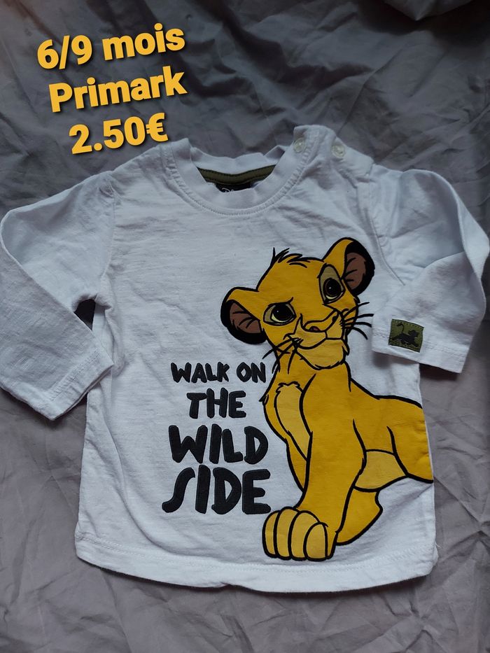 Haut simba roi lion