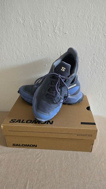 Salomon Alphacross GTX