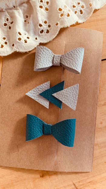 Lot pinces à cheveux