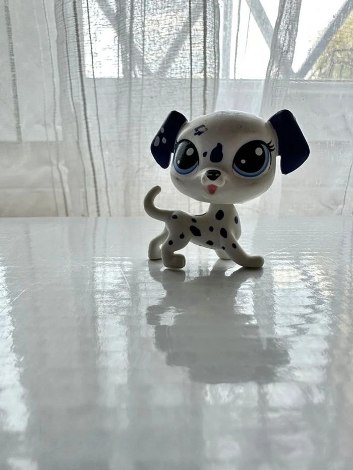 Pet shop dalmatien #172
