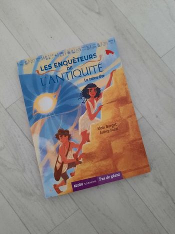 Livre les enquêteurs de l'antiquité