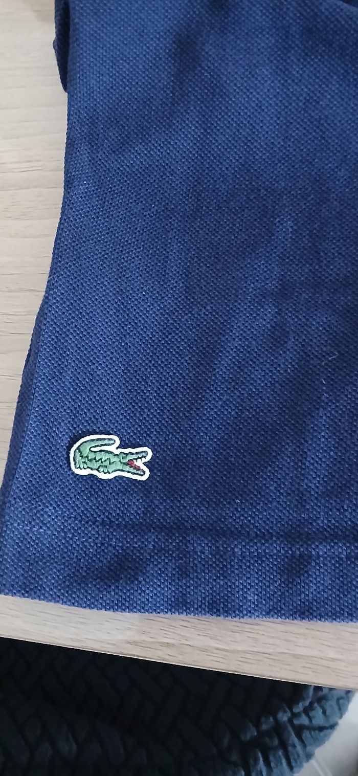 Polo homme Taille M marque Lacoste - photo numéro 4