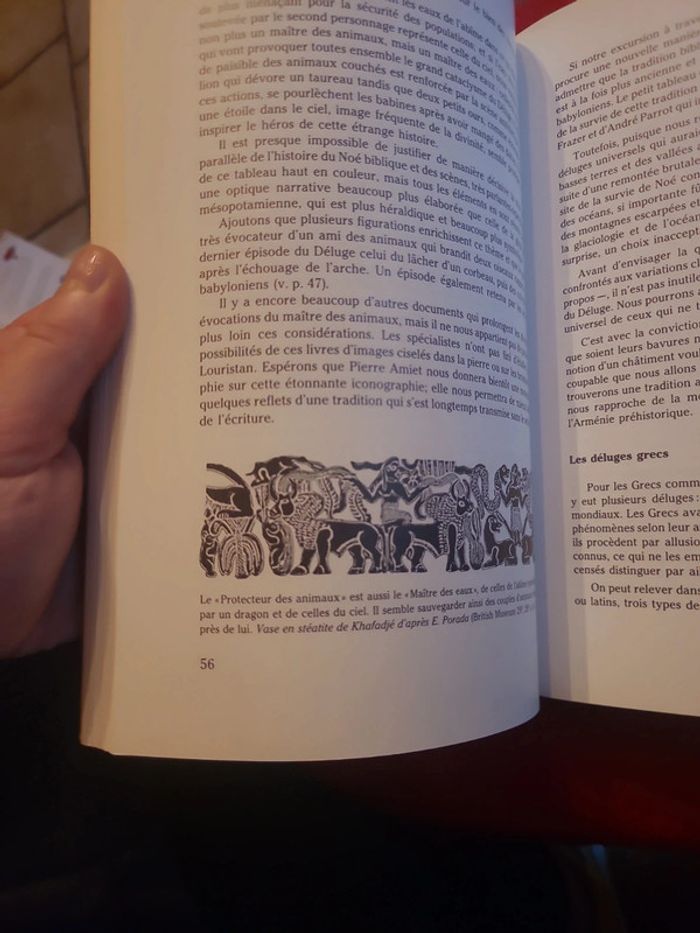 L'homme et les déluges - photo numéro 8