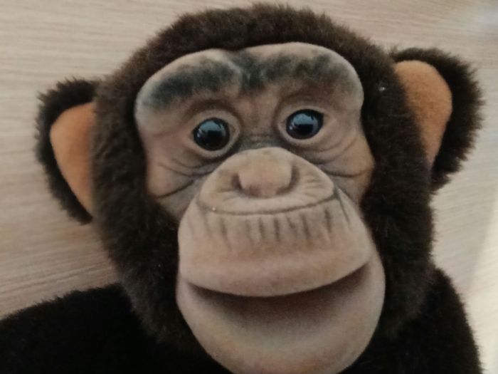 Peluche singe marionnette Ajena - photo numéro 7