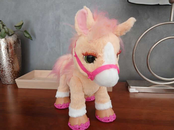 canelle mon poney coquet