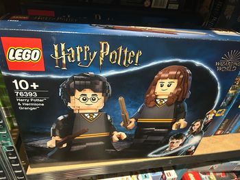 LEGO 76393 Harry Potter et Hermione Granger