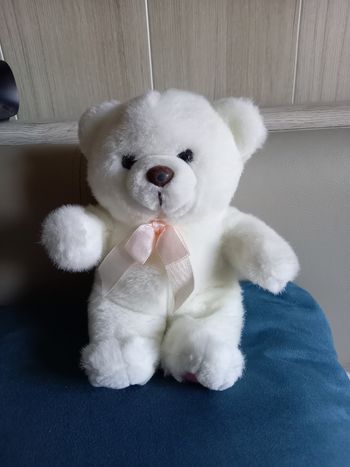 Petit ourson blanc.