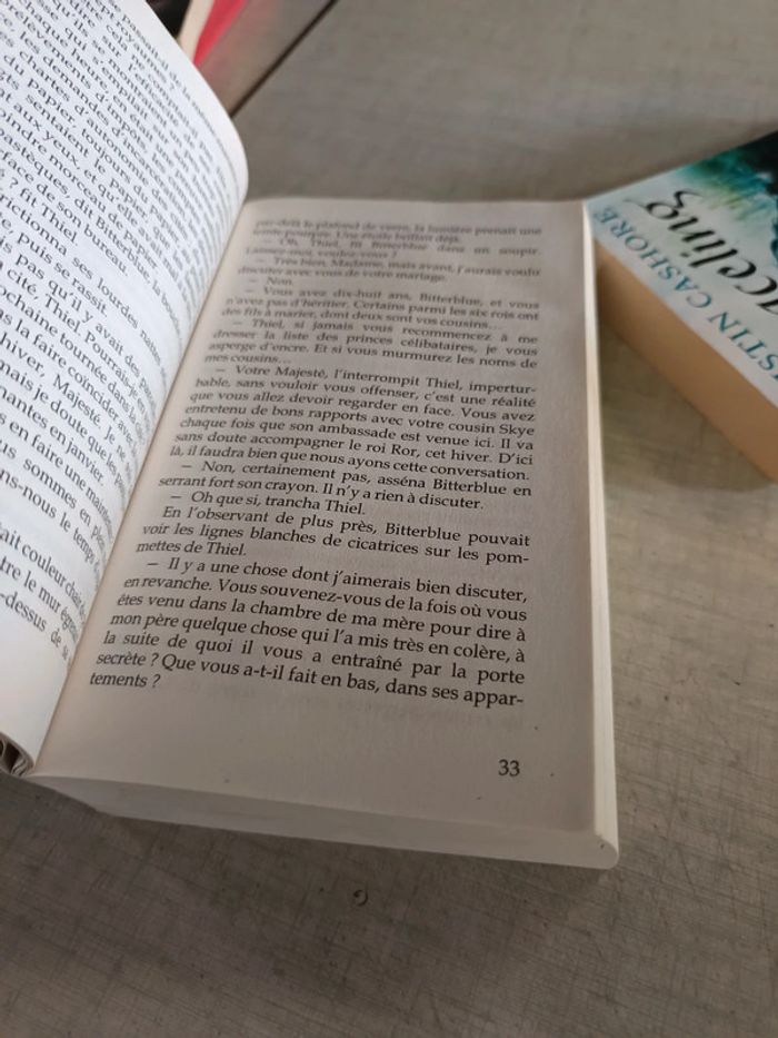 Lot 2 livres graceling et bitterblue - photo numéro 6