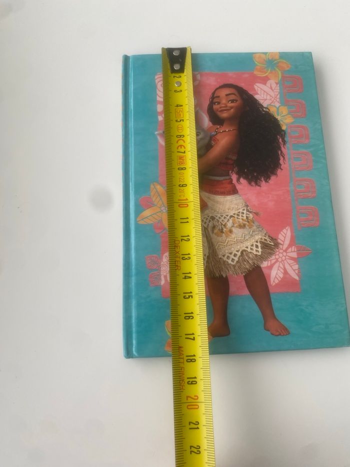 Carnet Vaiana - photo numéro 5